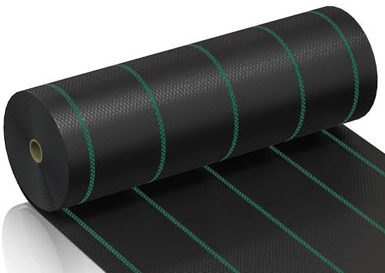Geo Fabric